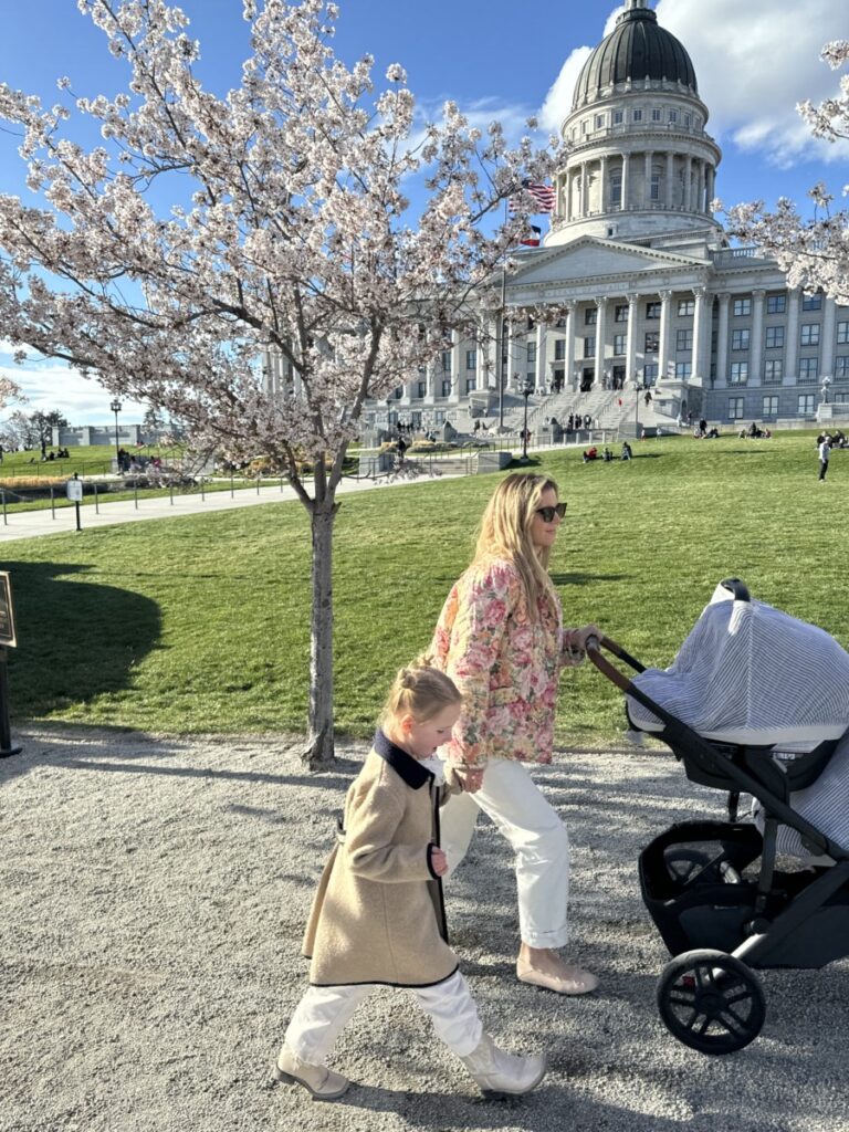 Different stroller options for babies