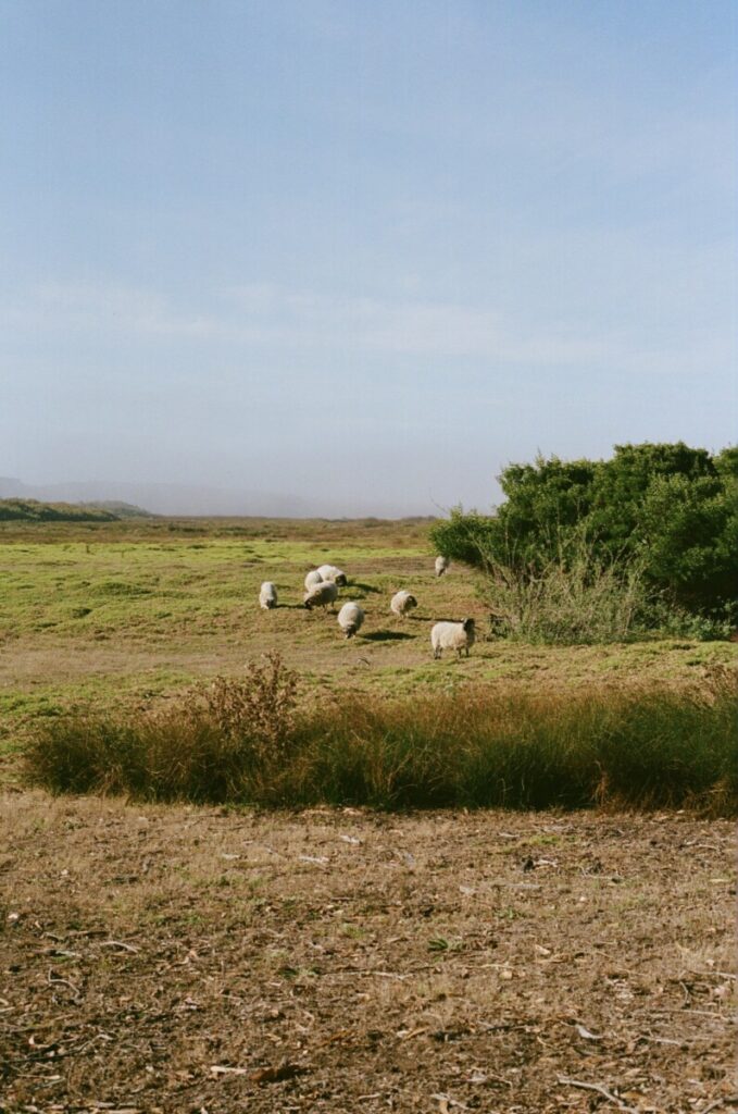 Carmel By-The-Sea Itinerary